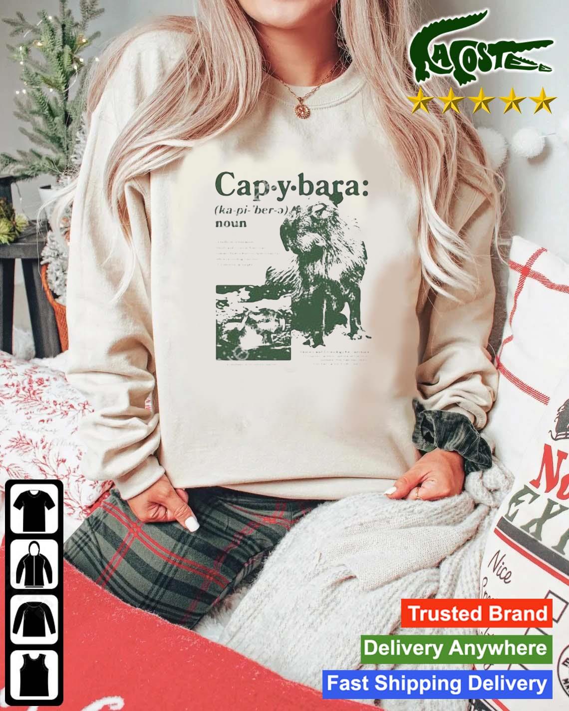 Capybara Noun Defined Sweats Mockup Sweater