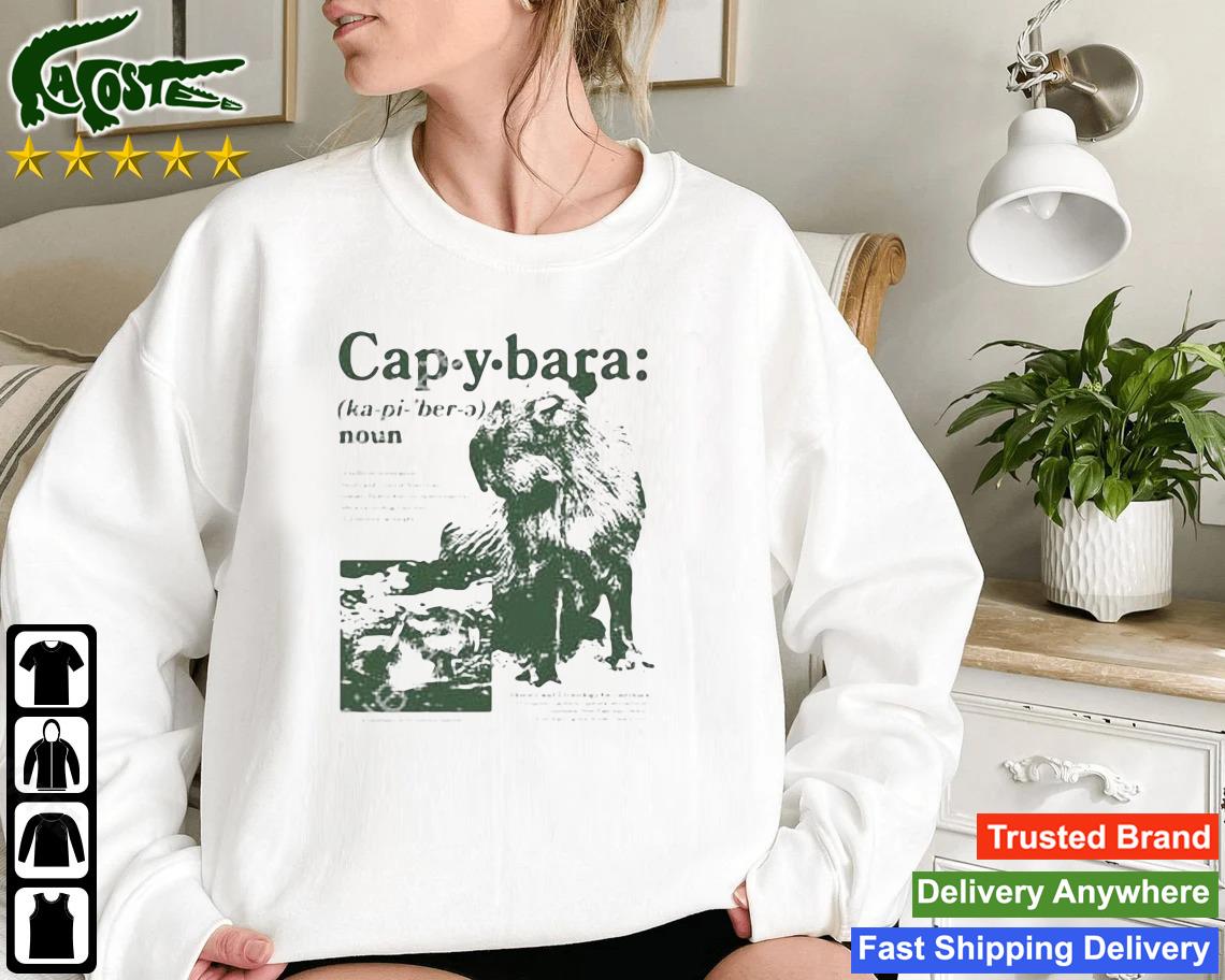 Capybara Noun Defined Sweatshirt