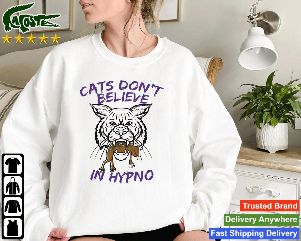 Kansas State Wildcats Vs Tcu Horned Frogs Cats Don't Believe In Hypno Conference Champs 2022 Sweatshirt