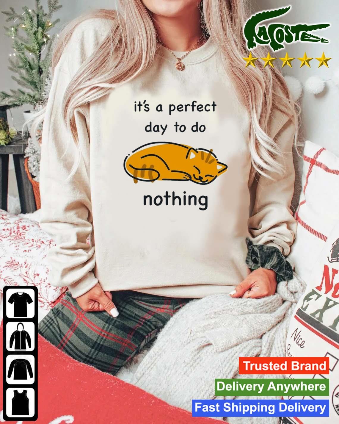 Cat It's A Perfect Day To Do Nothing T-s Mockup Sweater