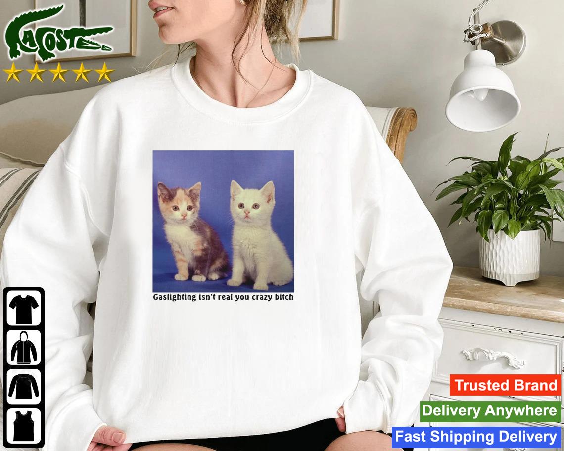 Cat Gaslighting Isn't Real You Crazy Bitch Sweatshirt